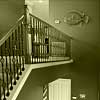 Go to the Studio CB commercial photogallery